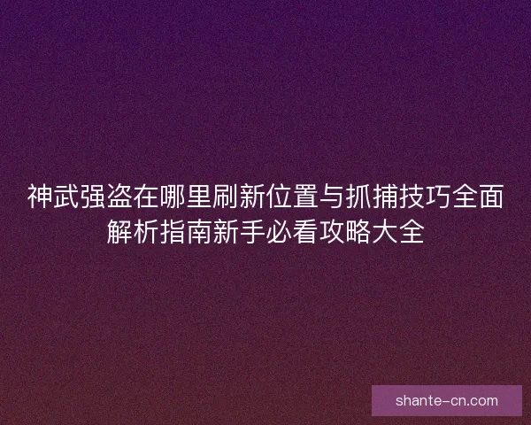 神武强盗在哪里刷新位置与抓捕技巧全面解析指南新手必看攻略大全