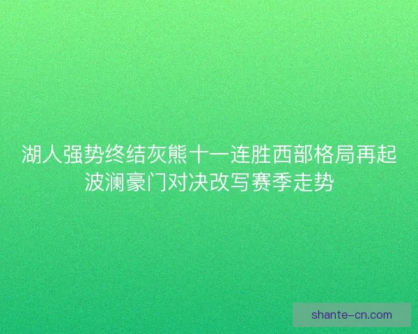 湖人强势终结灰熊十一连胜西部格局再起波澜豪门对决改写赛季走势